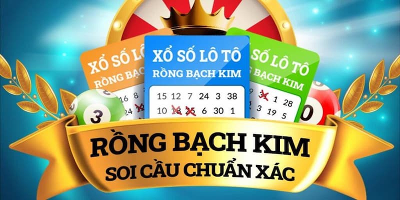 anh-dai-dien-soi-cau-bach-kim